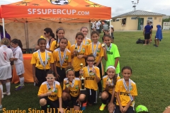 Sunrise - U11 Girls Div 2 Finalist